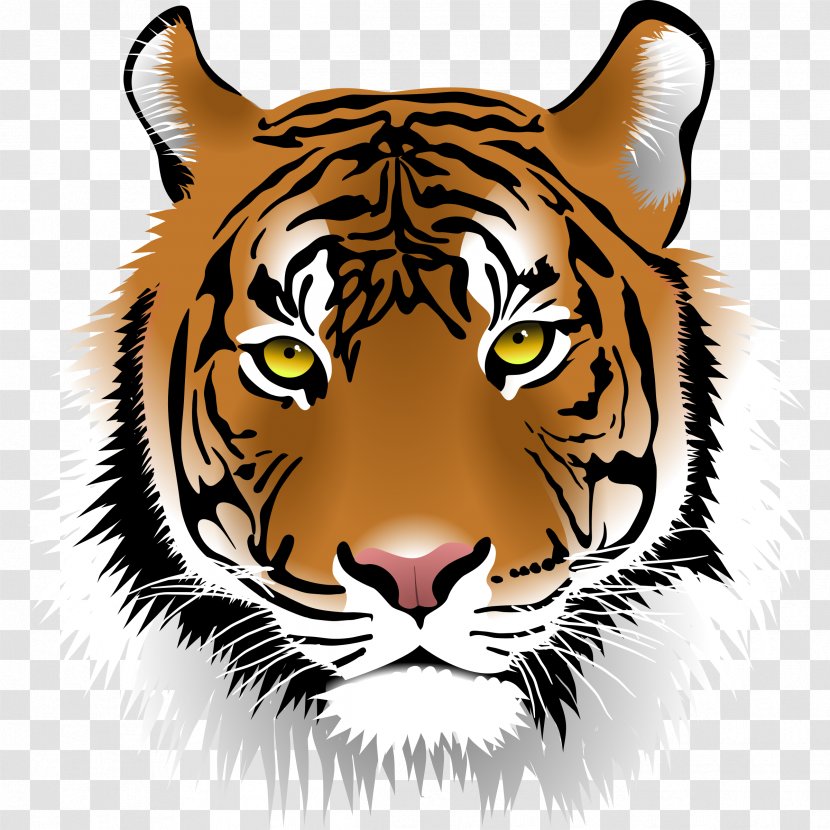 Bengal Tiger Cat Clip Art - Mammal Transparent PNG