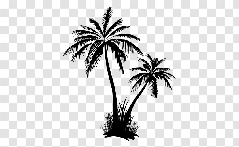 Arecaceae Tree Clip Art - Date Palm - Coconut Vector Transparent PNG