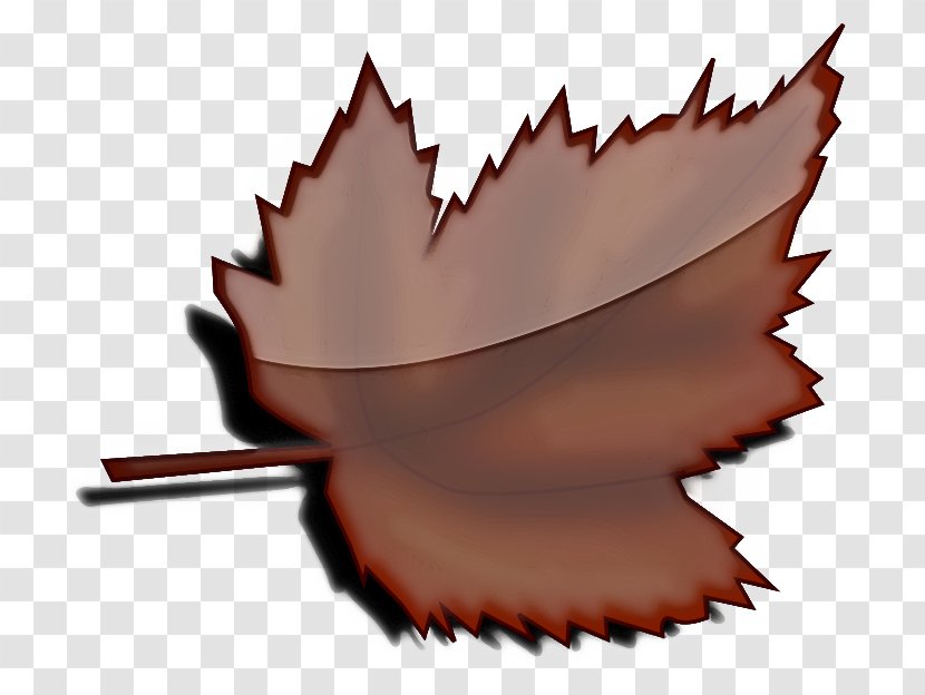 Maple Leaf - Animation Transparent PNG