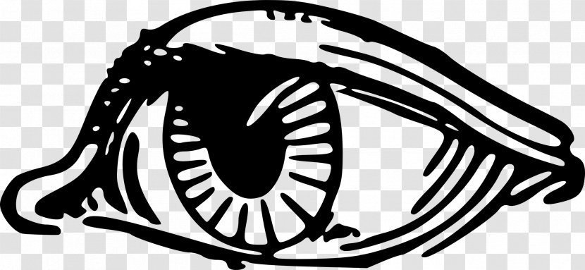 Monochrome Photography Black And White Line Art - Eyeball Transparent PNG