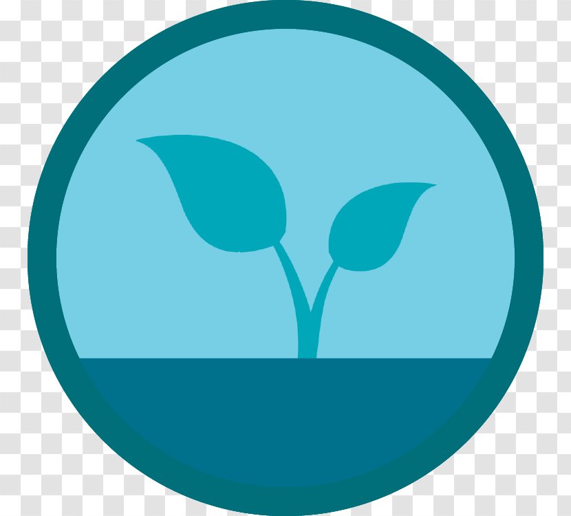 Marine Mammal Line Logo Clip Art - Azure Transparent PNG