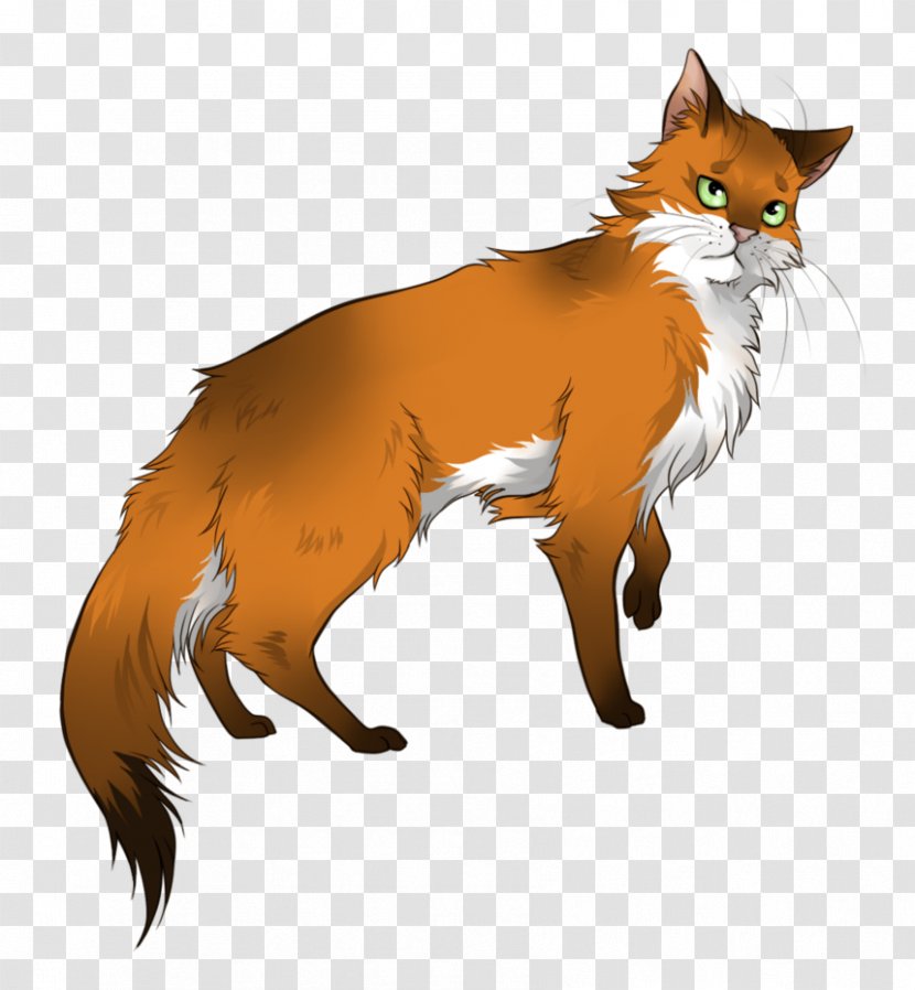 Whiskers Cat Foxheart Drawing - Fox Transparent PNG