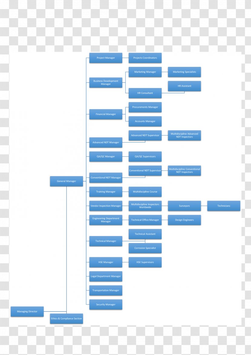 Organizational Chart Diagram Structure Smouha - Text - Organization Transparent PNG