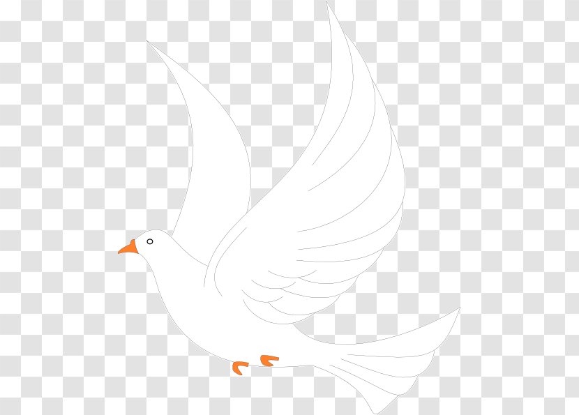 Clip Art Beak Feather Pattern Neck - Bird - Dove Clipart Transparent PNG