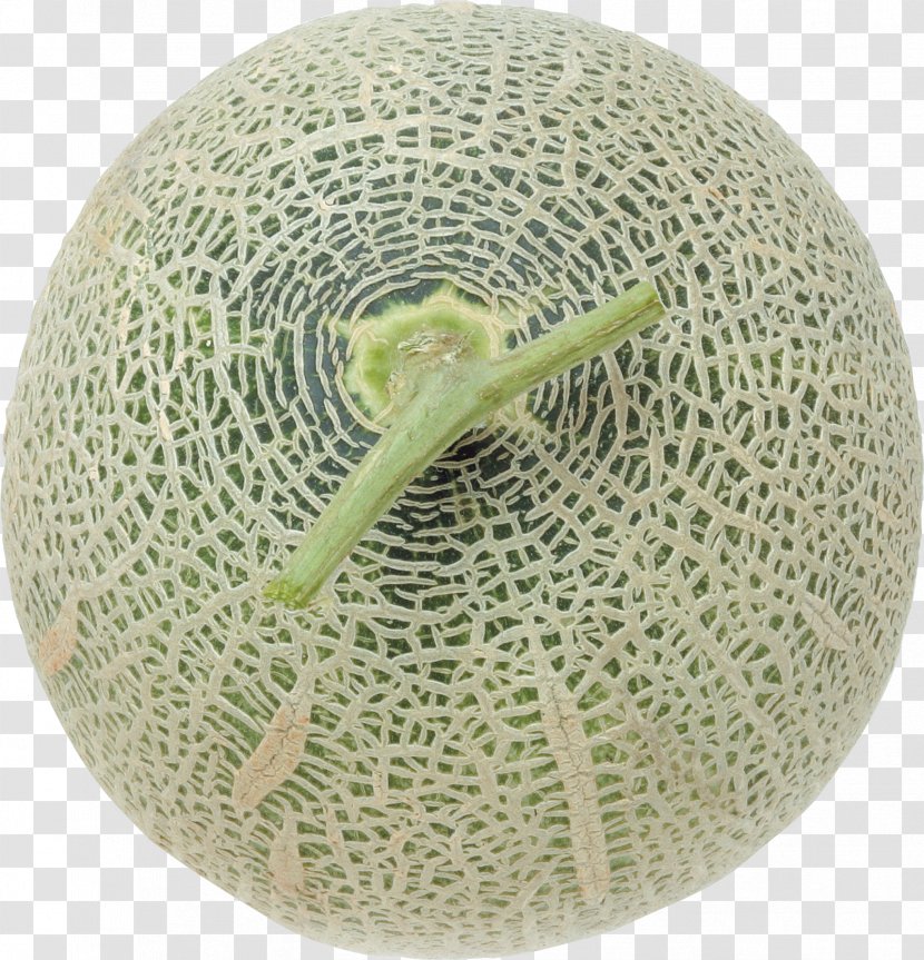 Cantaloupe Honeydew Melon Fruit Eating - Cucumber Gourd And Family Transparent PNG