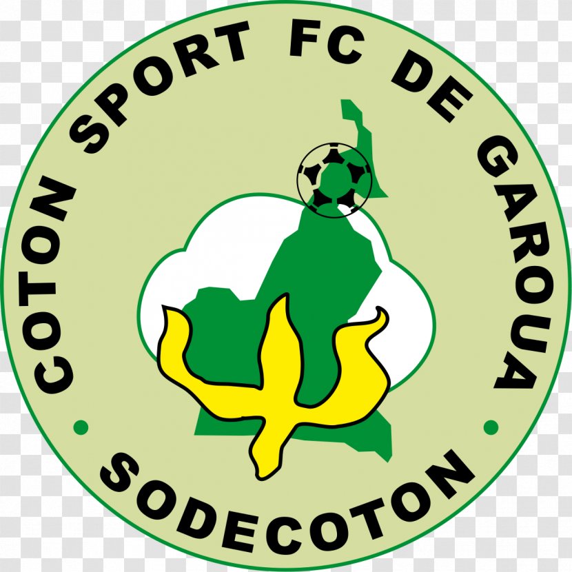 Coton Sport FC De Garoua Elite One CAF Champions League New Star Douala Aigle Royal La Menoua - Green - Football Transparent PNG