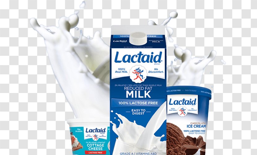 Almond Milk Lactose Intolerance Lactase Dairy Products - Ingredient Transparent PNG