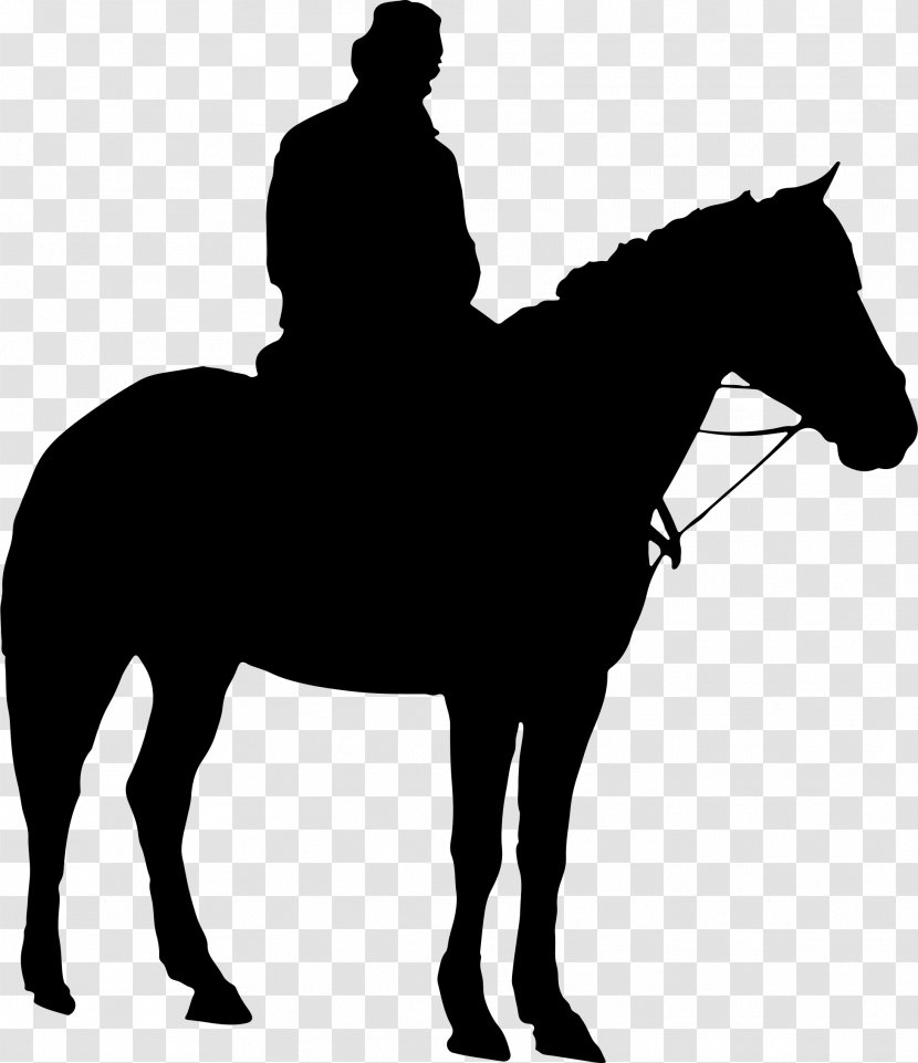 Horse Hunt Seat Equestrian Clip Art - Mustang - Ride Vector Transparent PNG