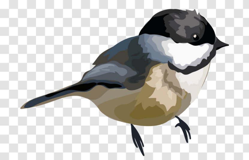 Bird Beak Watercolor Painting Clip Art - Fauna Transparent PNG