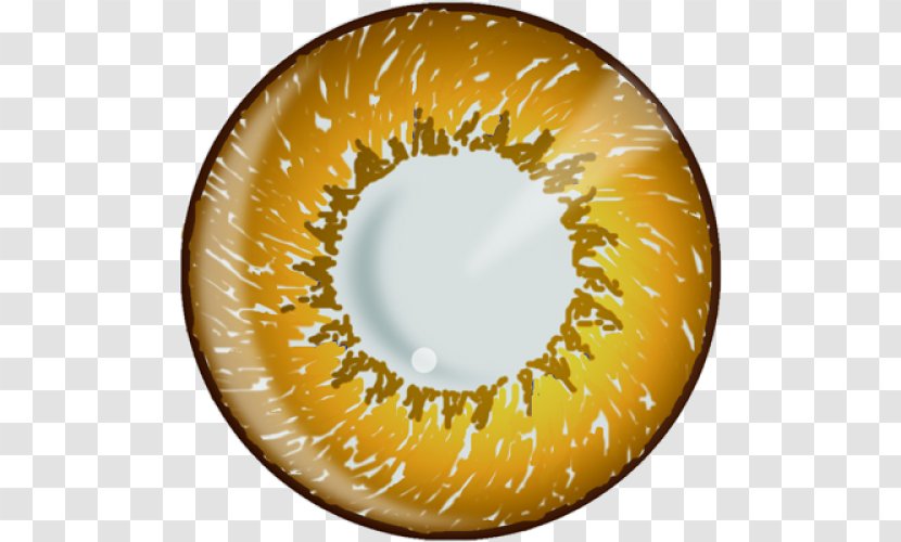 Contact Lenses Color Yellow Hazel - Eye Transparent PNG