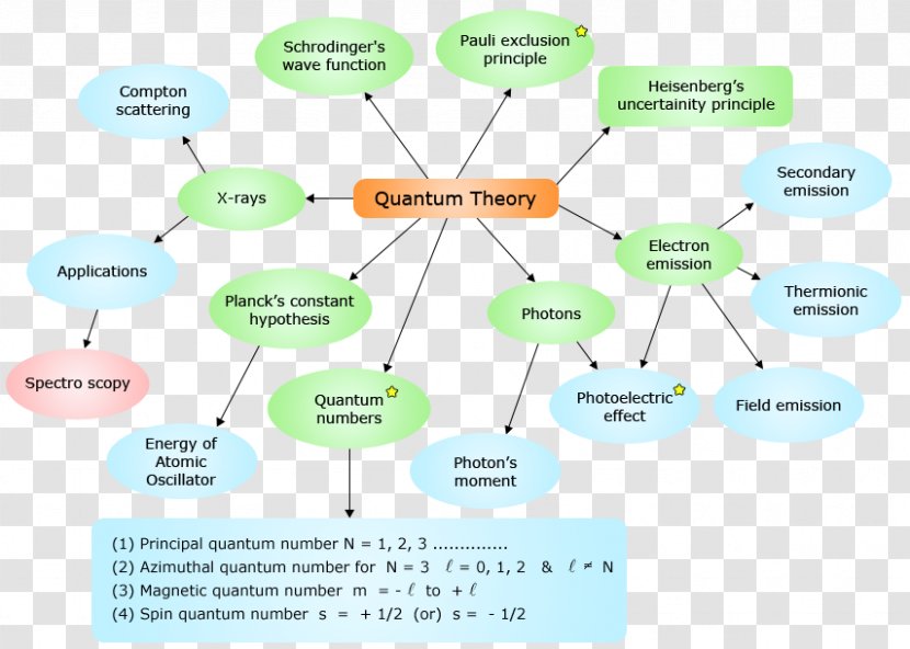 Diagram Line - Organization - Husbandry Transparent PNG