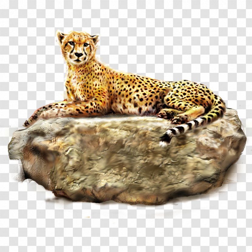 Cheetah Leopard Lion Tiger - Cat Like Mammal Transparent PNG