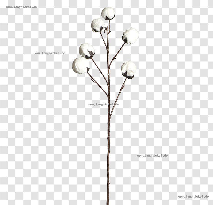 Twig Plant Stem Flowering Font - Flower Transparent PNG