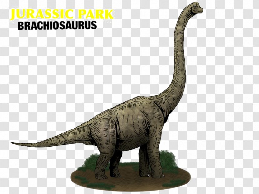 Brachiosaurus Jurassic World Evolution Park Builder Apatosaurus - The Good Dinosaur Transparent PNG