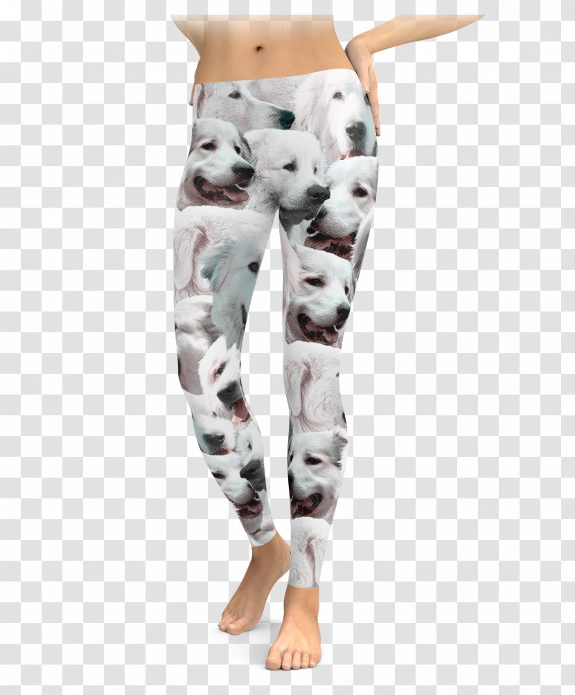 Leggings Waist - Abdomen - Great Pyrenees Transparent PNG