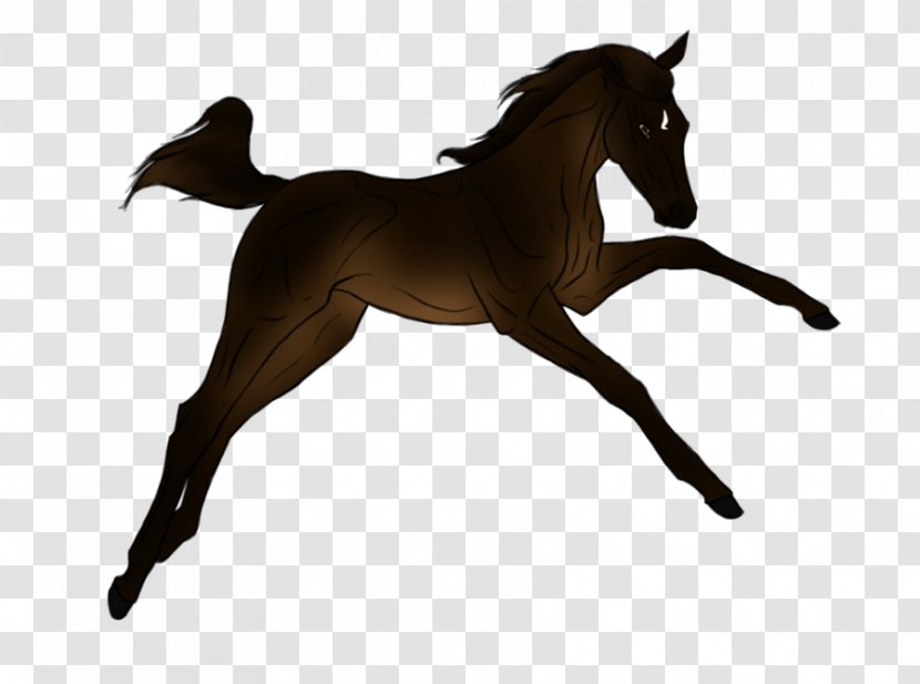 Foal Horse Stallion Pony Mane - Vertebrate - Reining Silhouette Transparent PNG