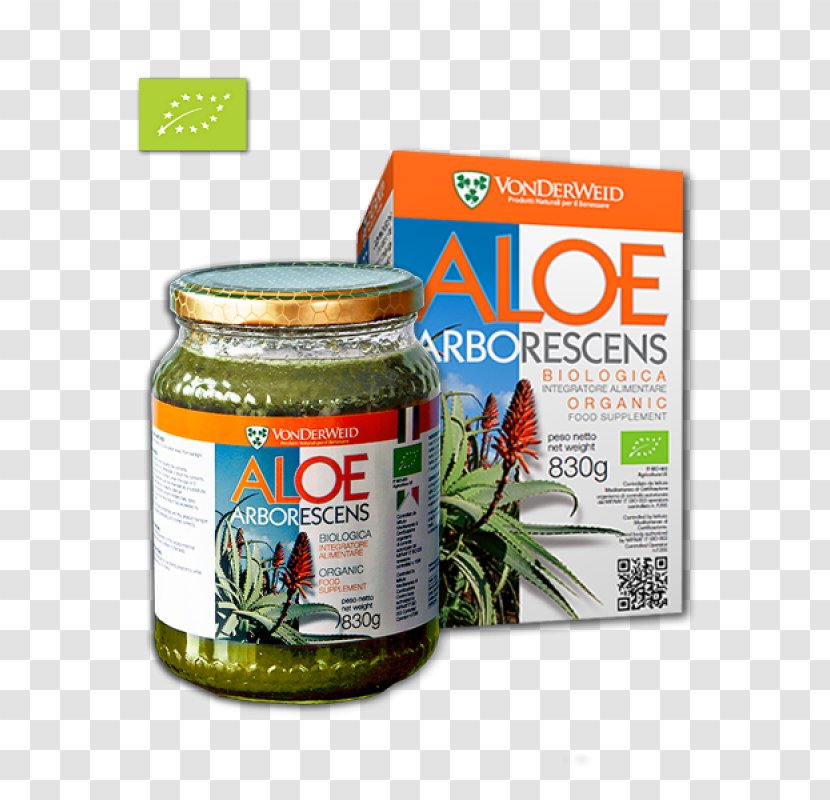Dietary Supplement Reale Bio Venaria Candelabra Aloe Vera Food - Species - Arborescens Transparent PNG
