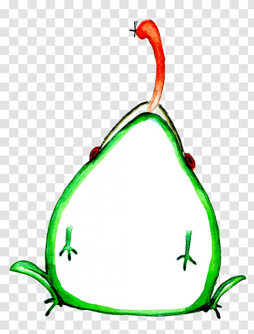 Watercolor Painting Illustration - Area - Pear Transparent PNG