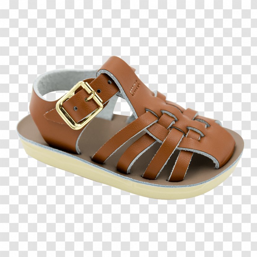 Saltwater Sandals Shoe Clothing Leather - Hoy Co Transparent PNG