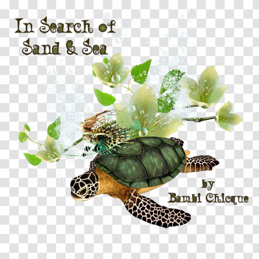 Box Turtles Tortoise Second Life Sand - Logo - Turtle Transparent PNG