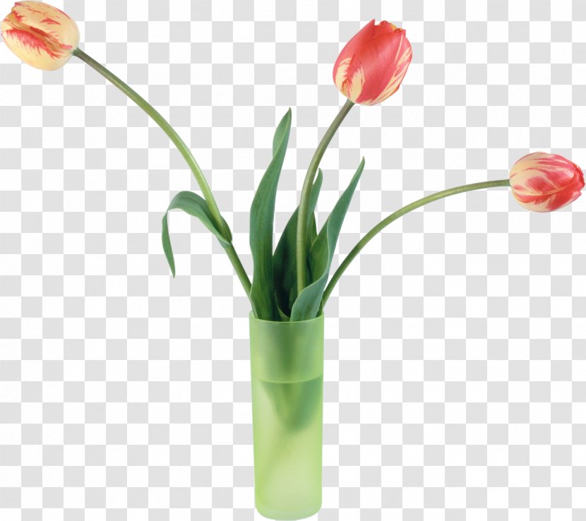 Tulip Flower Bouquet Vase - Floristry Transparent PNG