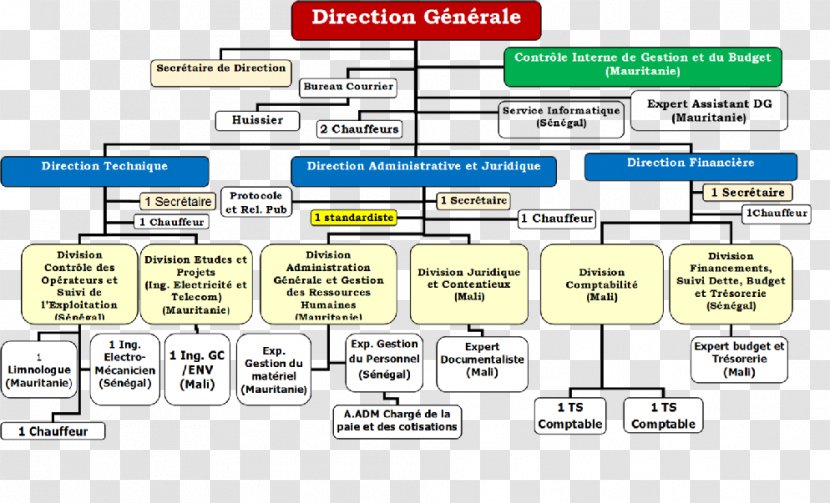 Organization Line - Diagram Transparent PNG