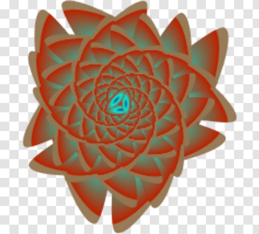 Orange Flower - Petal - Spiral Transparent PNG