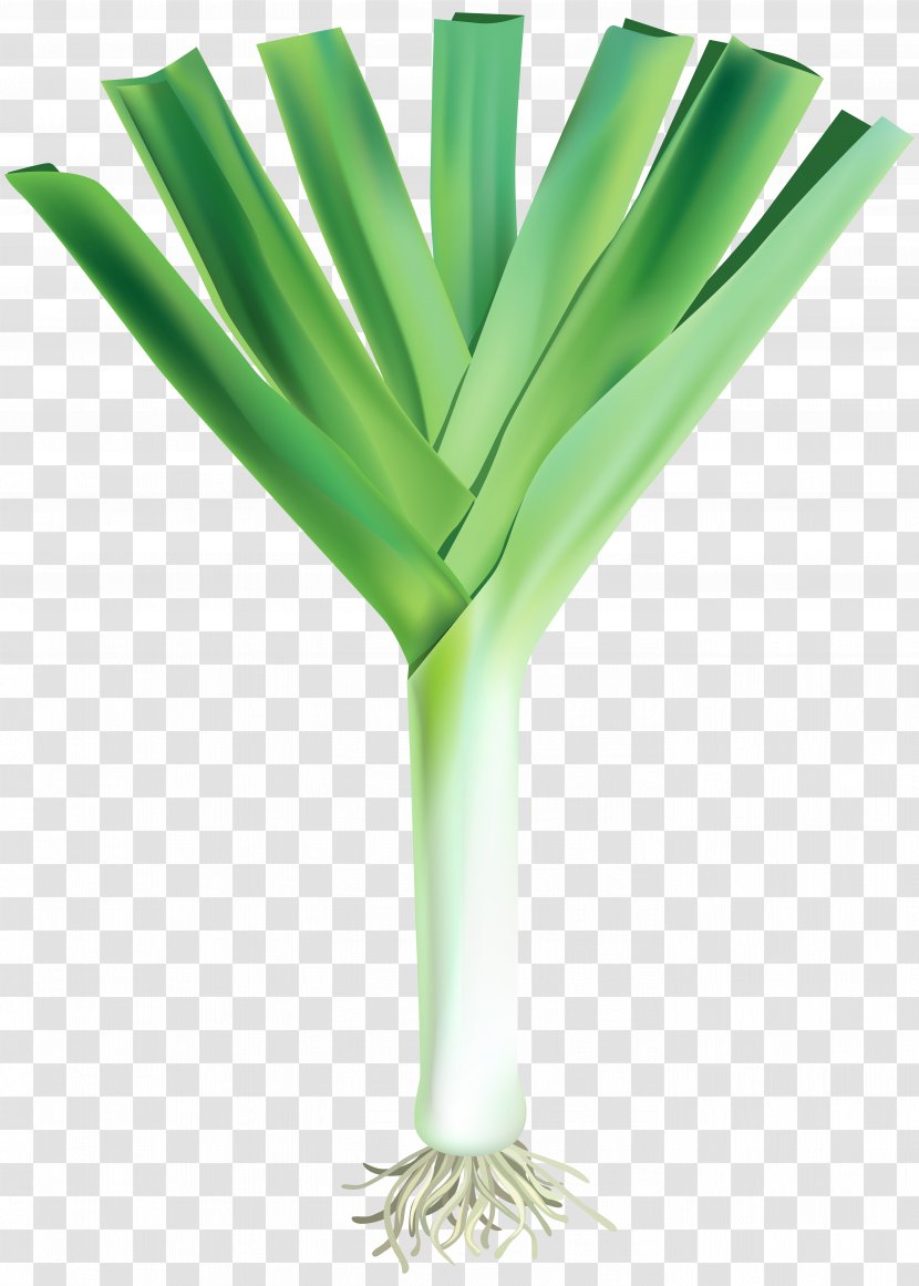 Garlic Knot Bread Leek - Allium Fistulosum - Vegetable Transparent PNG