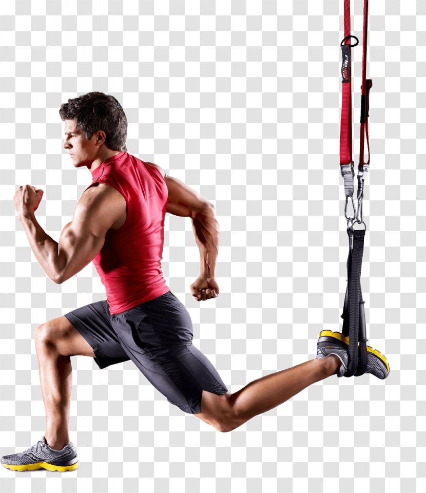 Physical Fitness Exercise Suspension Training Centre - Heart - Certification Transparent PNG