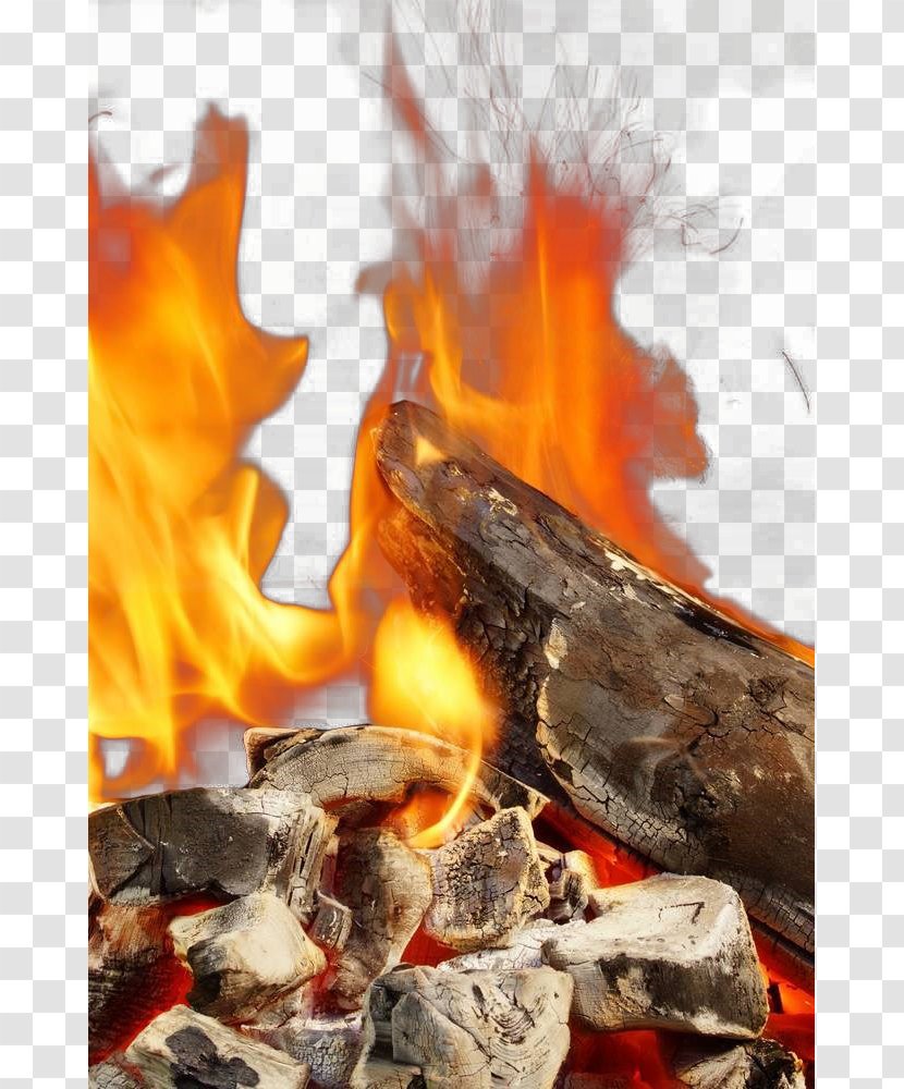 Fire Flame - Tree - Free Firewood Pull Material Transparent PNG