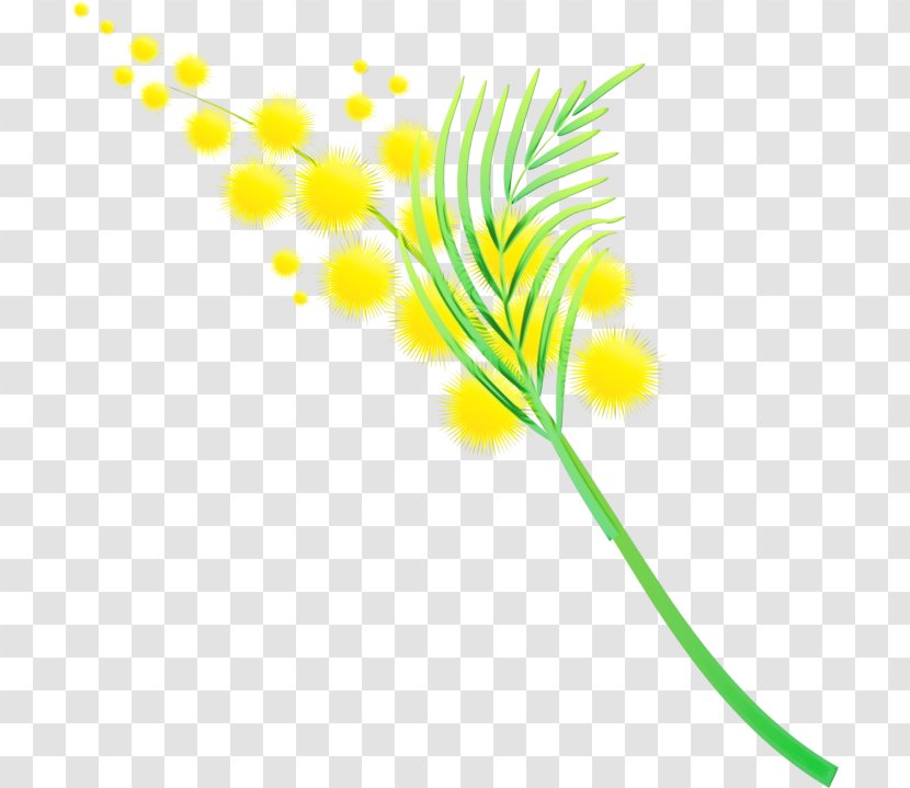 Yellow Line Leaf Plant Clip Art - Paint - Stem Pedicel Transparent PNG
