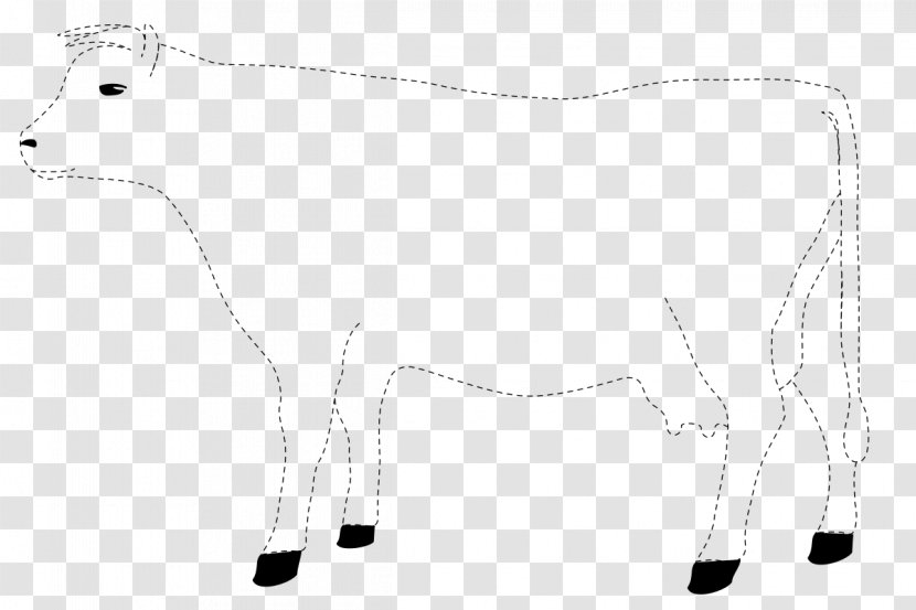 Cattle Drawing Calf Silhouette Line Art Transparent PNG