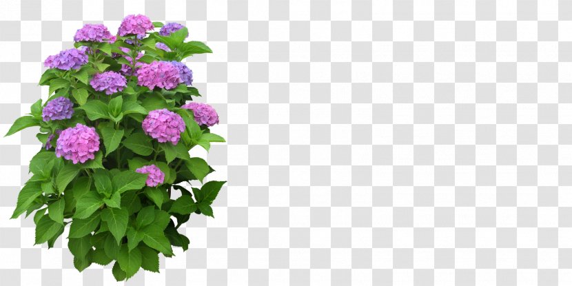 Flowerpot Plant Clip Art - Cut Flowers - Bushes Transparent PNG