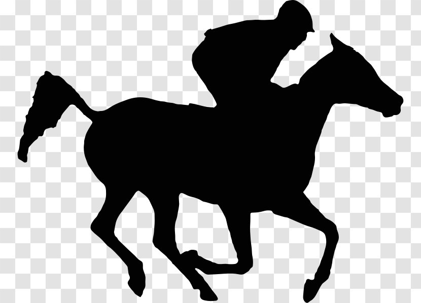 Thoroughbred Horse Racing Arabian Equestrian - Monochrome - Galloping Transparent PNG