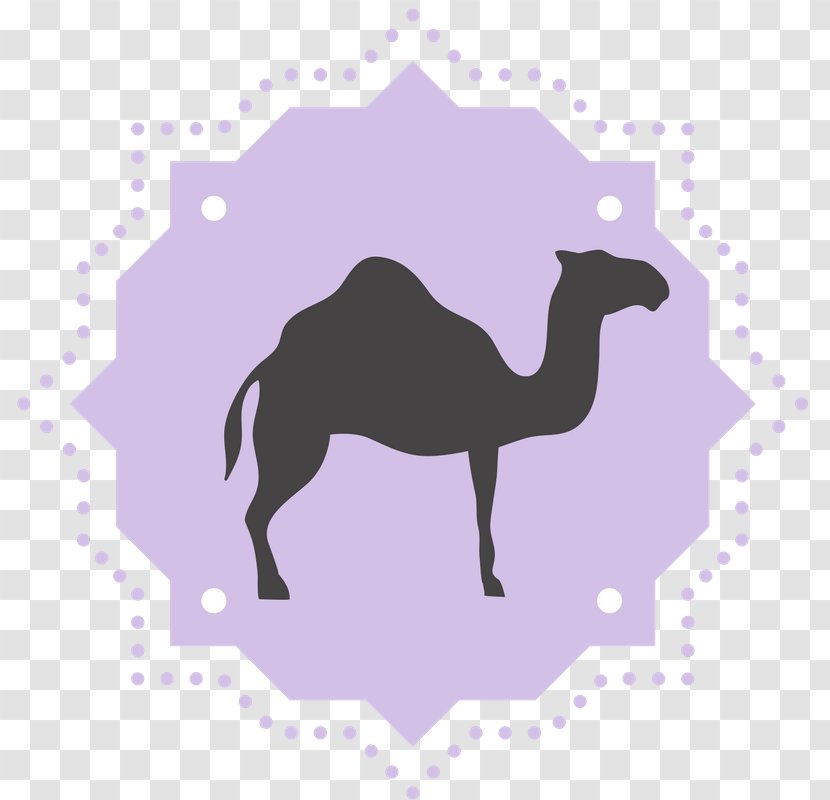 Dromedary Biblical Magi - Symbol - Dog Yoga Transparent PNG