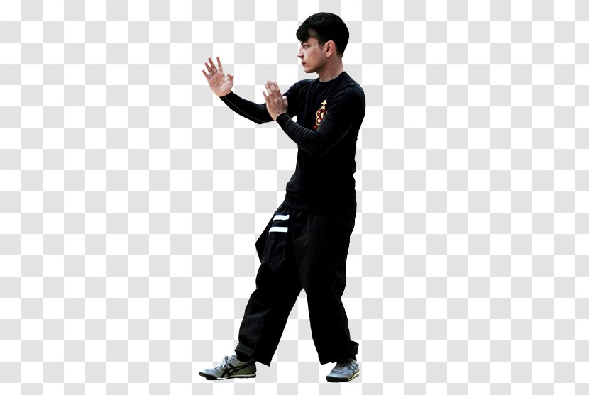Integrative Wing Chun Phoenix Martial Arts Shifu Self-defense - Combat Transparent PNG