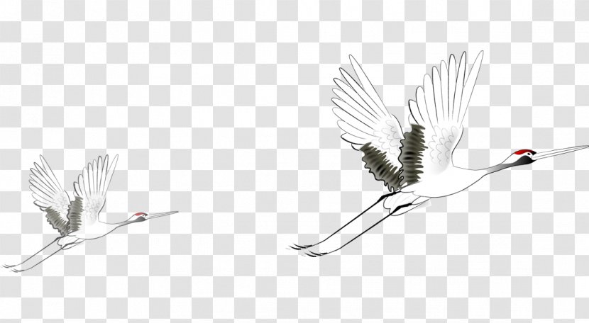 China Red-crowned Crane - Black And White - Flying Transparent PNG