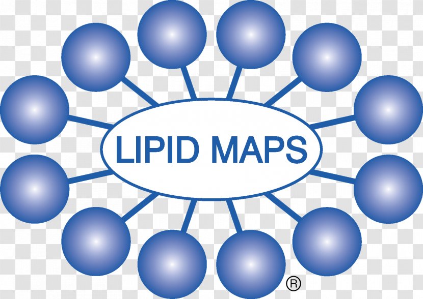 Lipidomics Standards Initiative Database Metabolomics - Text - Lipid Map Transparent PNG