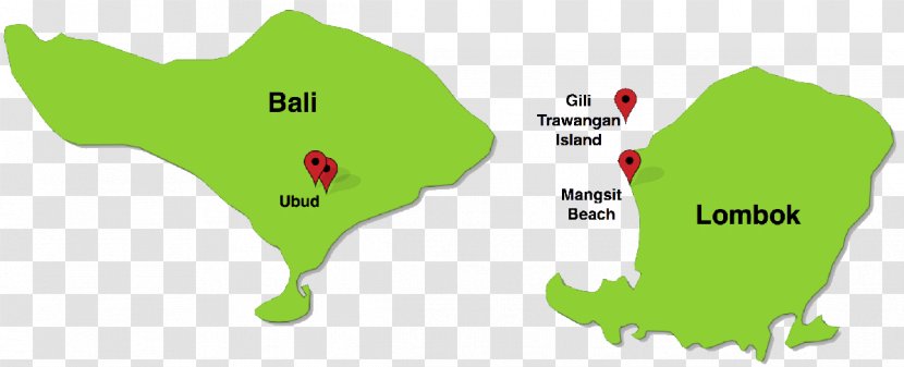 Green Leaf Map Line Tuberculosis - Tree - Bali Transparent PNG