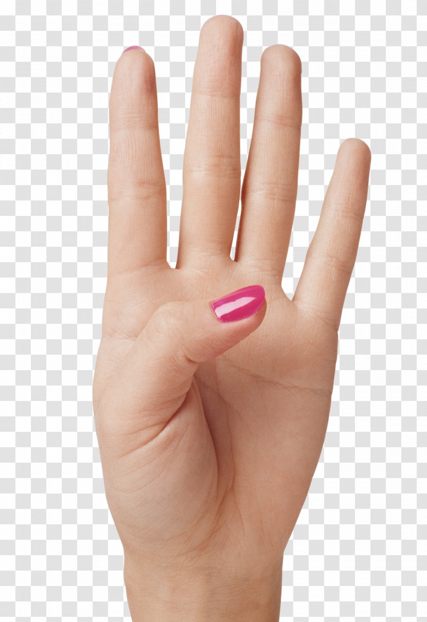 Finger Hand - Ring - Showing Four Fingers Clipart Image Transparent PNG