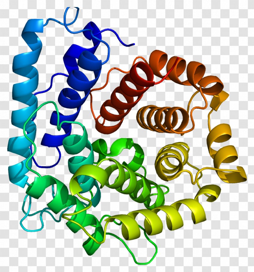 Complement System Component 3 Protein Factor B Classical Pathway - Immunity - Proteine Transparent PNG
