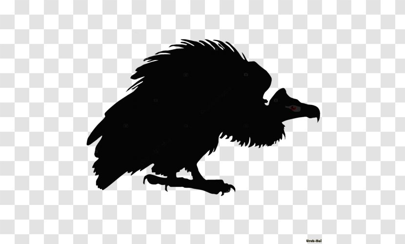 American Crow Silhouette Bird Transparent PNG