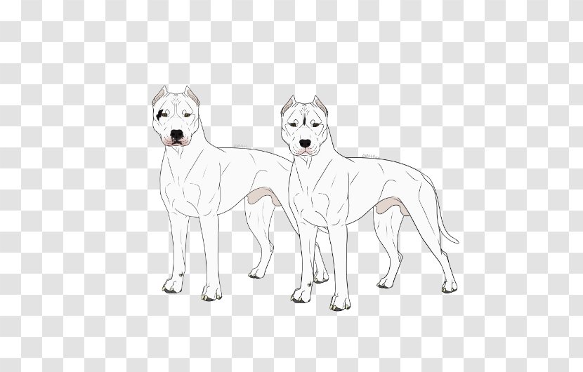 Korean Jindo Kishu White Shepherd Dog Breed Line Art - Samsung Galaxy S4 - Dogo Argentino Transparent PNG