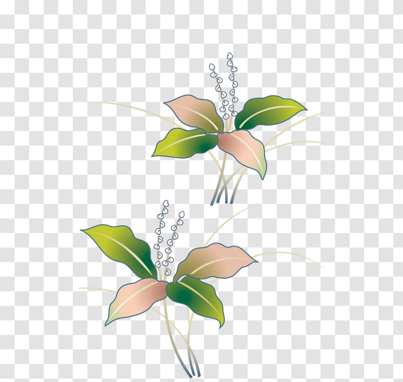 Design Image Drawing Creativity Animation - Cartoon - Leaves Transparent PNG