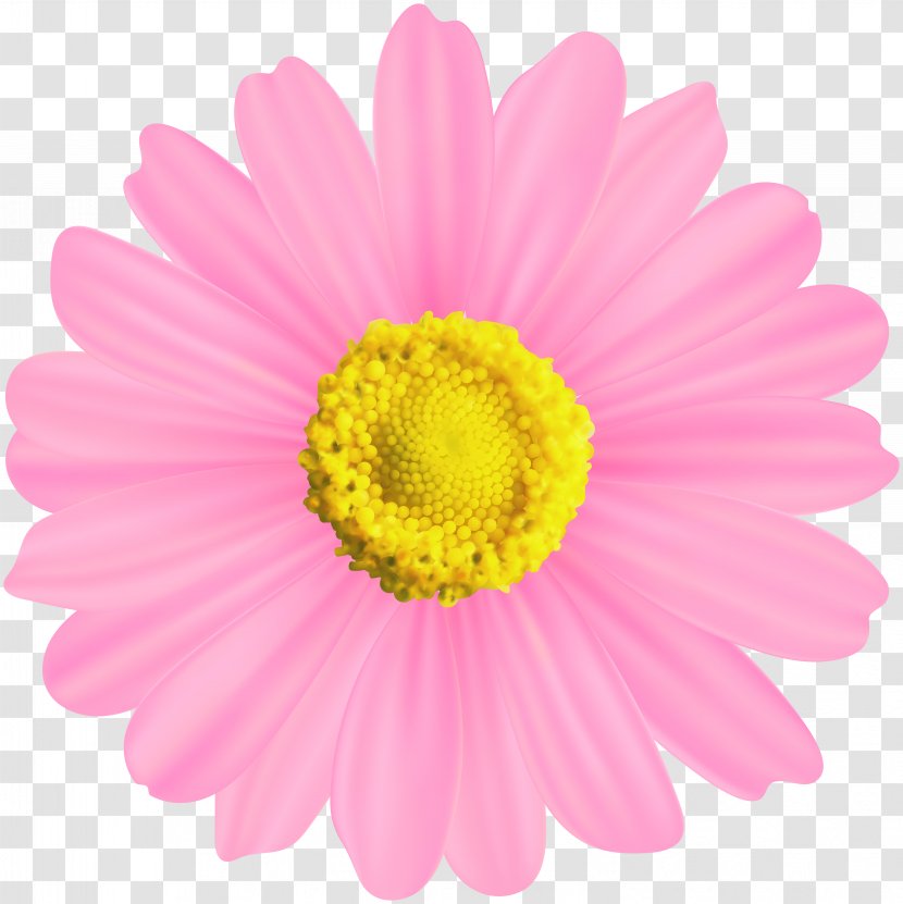 Symbol Clip Art - Stock Photography - Pink And Gold Flowers Transparent PNG