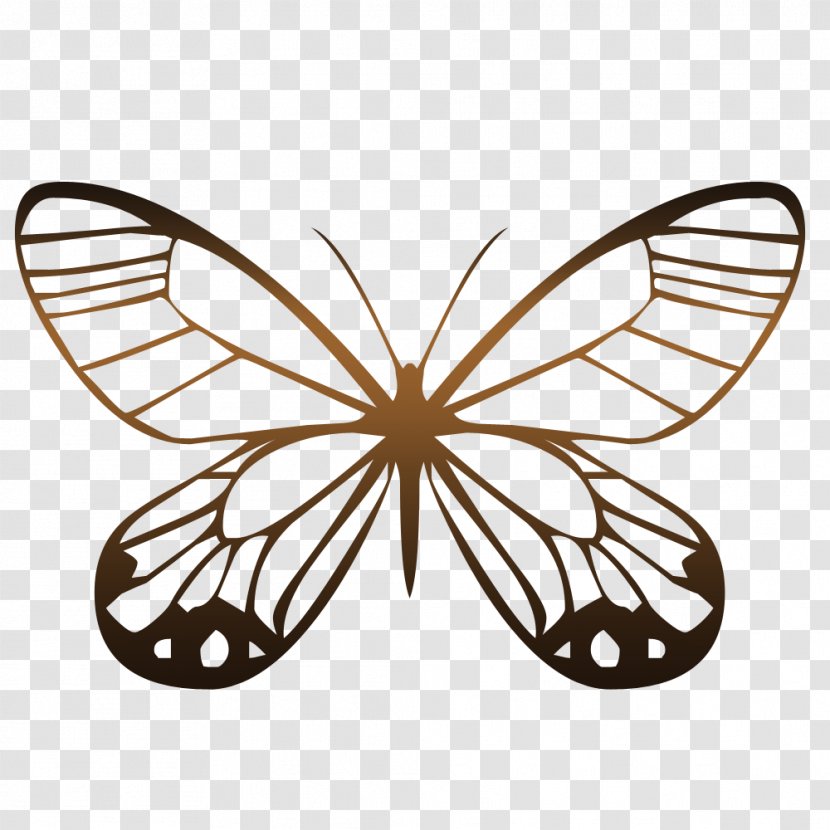 Butterfly Animation Photography - Butterflies And Moths Transparent PNG