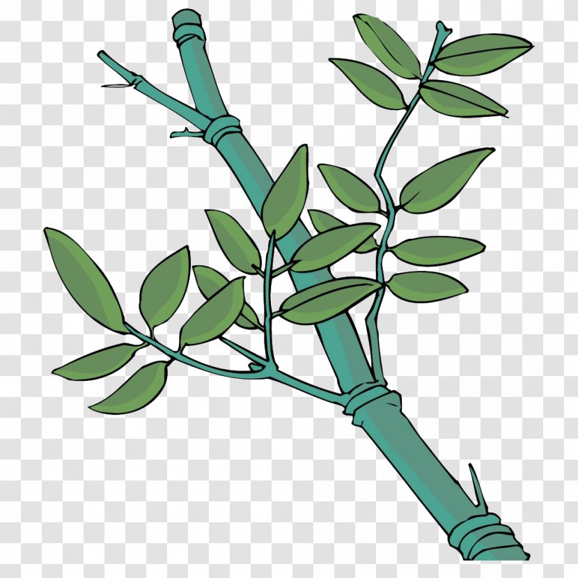 Leaf Cartoon - Grass - Bamboo Transparent PNG