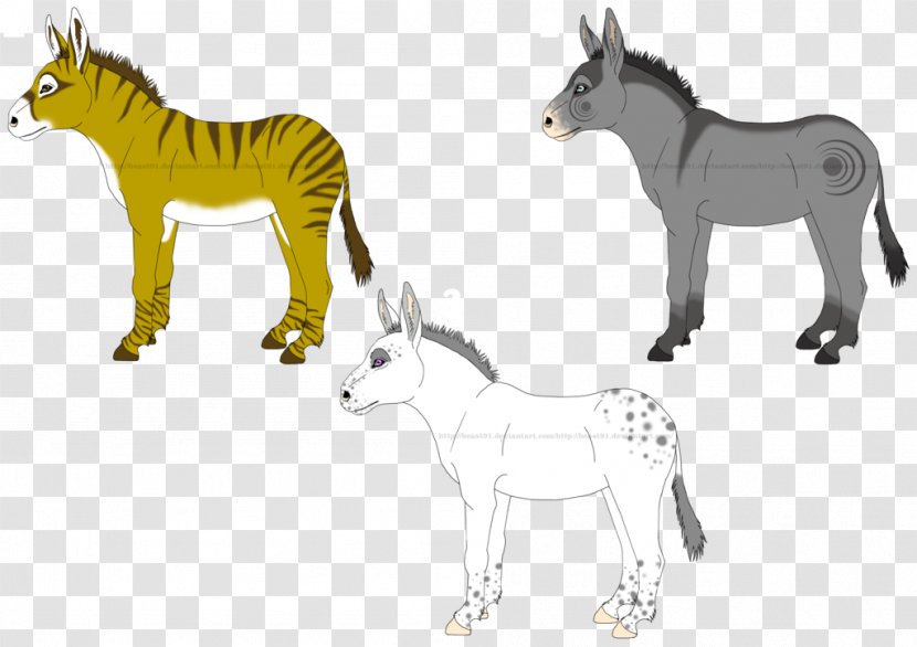 Mule Foal Colt Mustang Mane - Pack Animal Transparent PNG