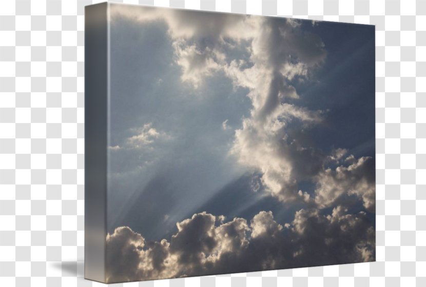 Cumulus Stock Photography Sunlight Daytime - Gorgeous Sky Transparent PNG