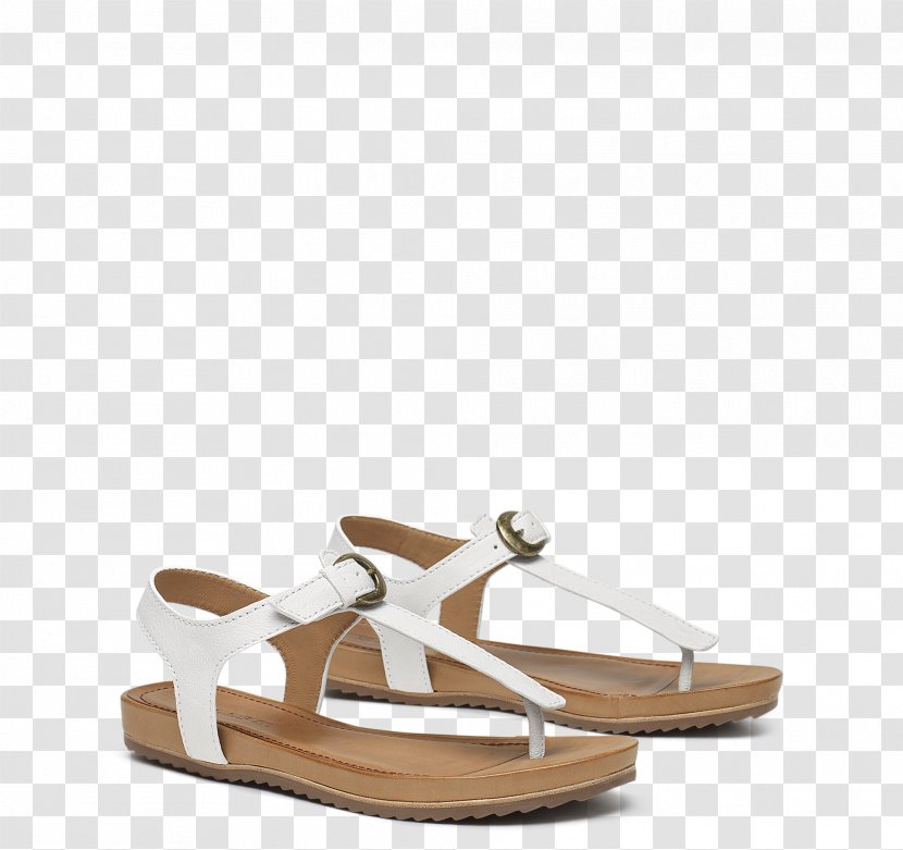 Sandal Shoe World Wide Web Product Leather - Html - White Transparent PNG